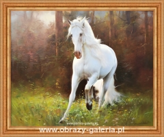 Biały koń